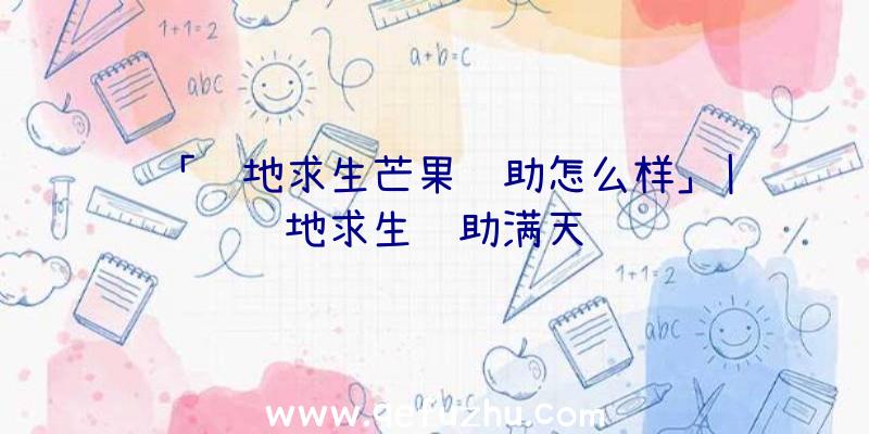 「绝地求生芒果辅助怎么样」|绝地求生辅助满天飞